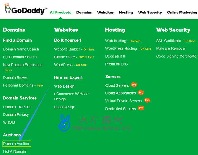 GoDaddy Auctions平台